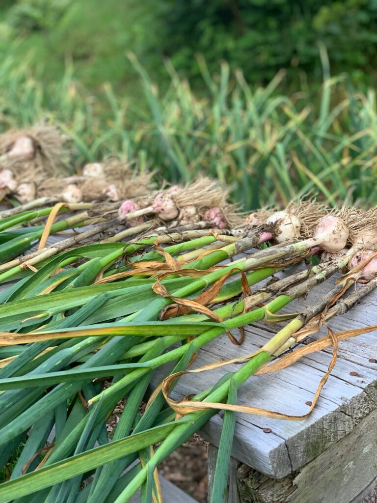 1fd730a5 917d 446c 9449 4411155a5ea7