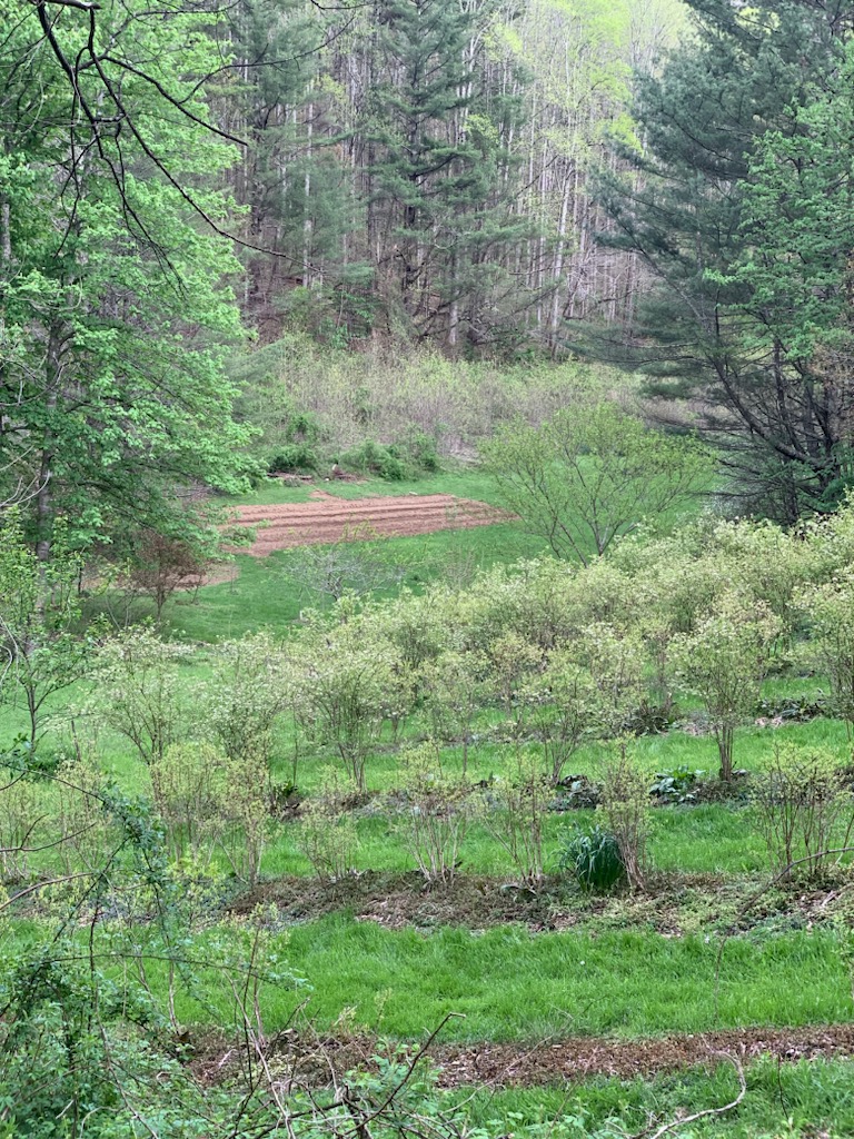 31bc0a7b ac7b 4a2c a8bf fc85b3ccec76