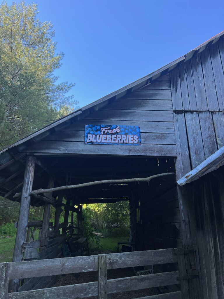 54e51802 7534 4dfa b1dc 2ac96257e768