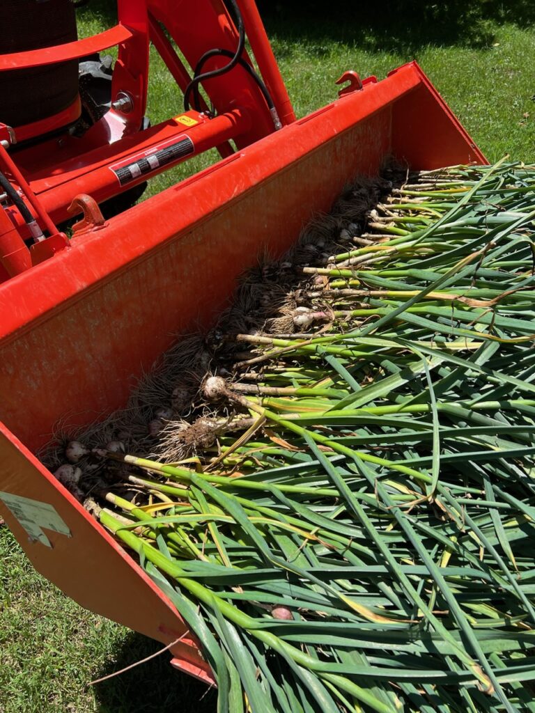 77a41361 4e90 41a7 8622 1f827a0b8fb7