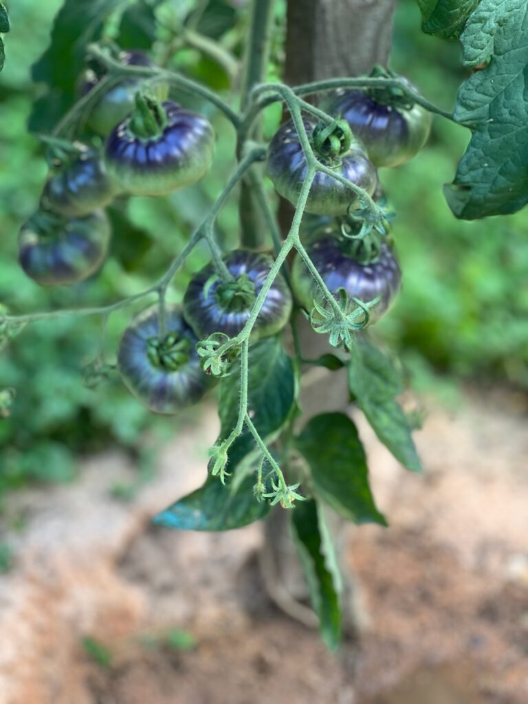 843bf894 a56a 4143 91aa a1a8ac2787f5