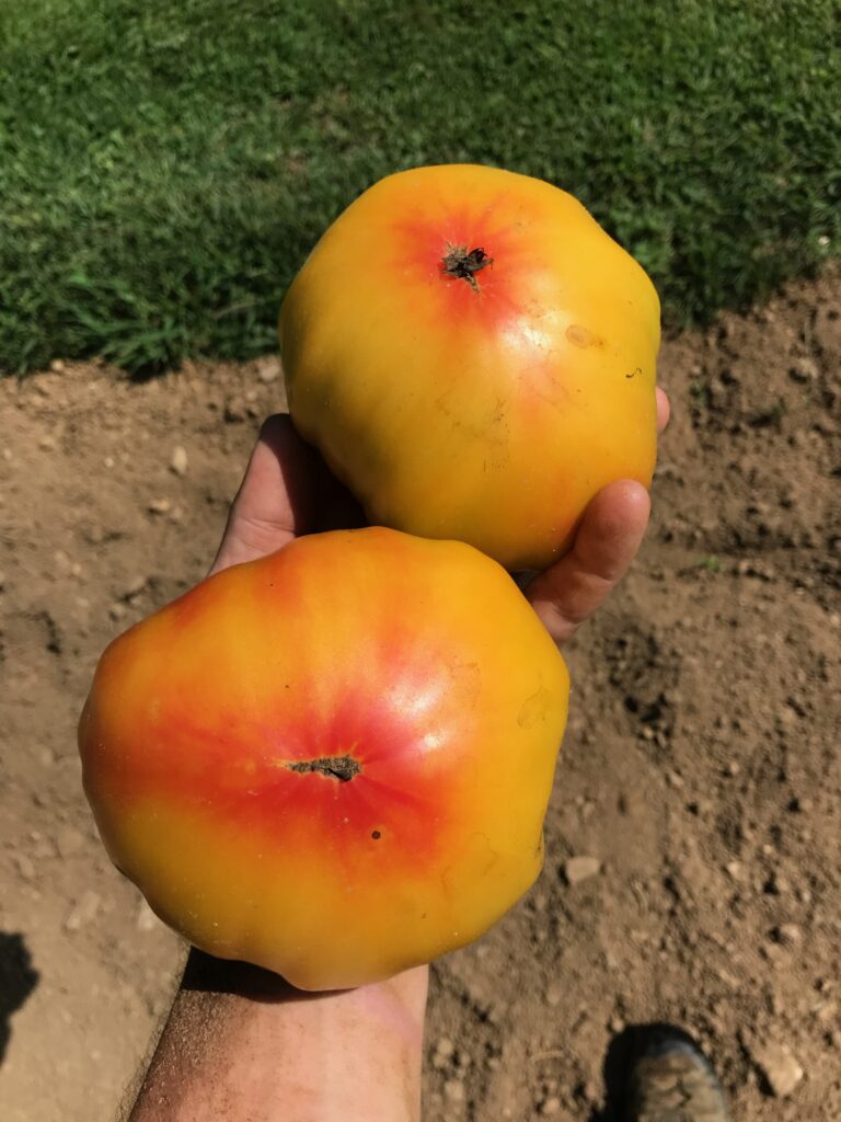 856f816e 8fb9 4051 9bca 8b9ab564538b