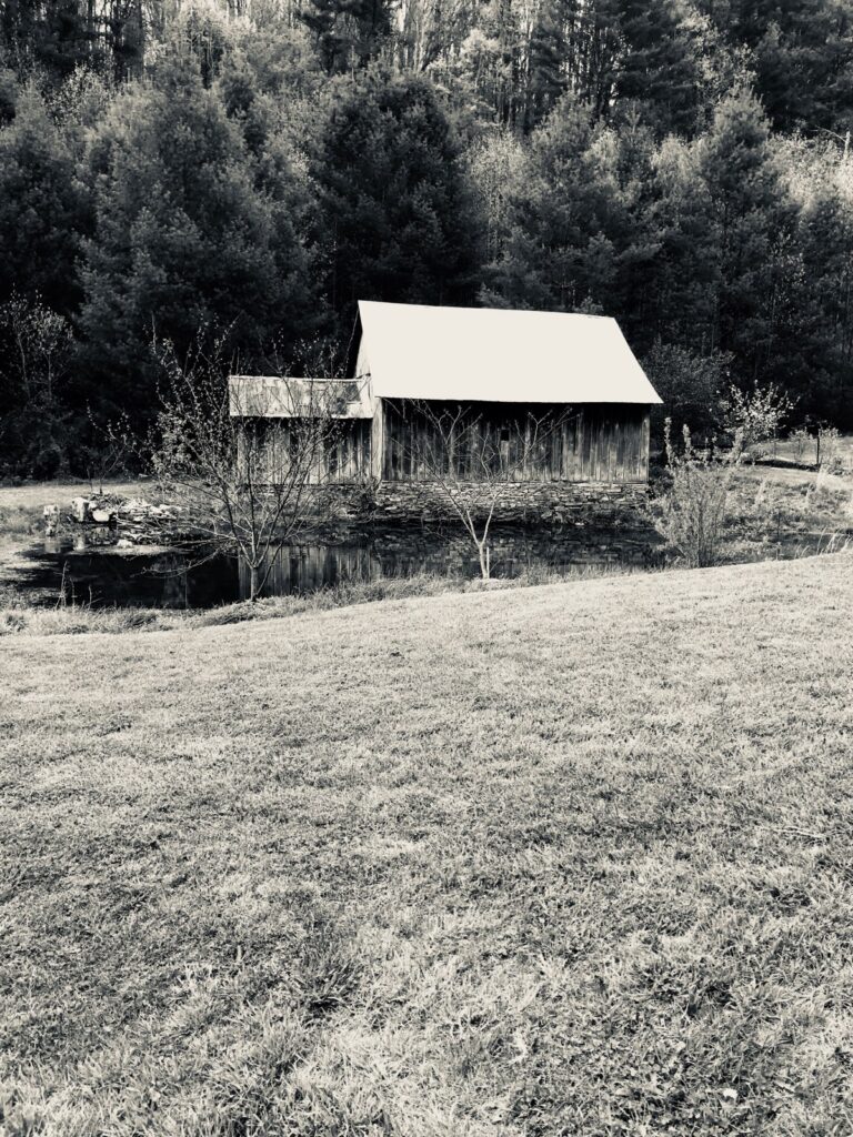 97b874d8 7ced 4a58 9af7 a42ef34c85d9