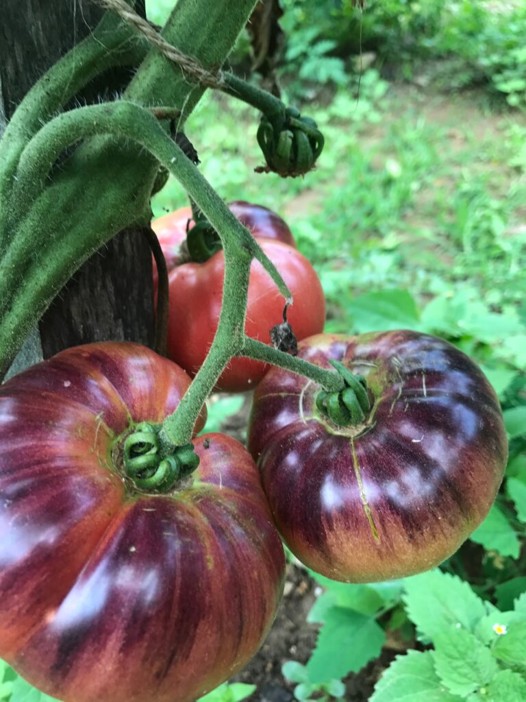 ab584bdd 4bf5 4807 bdb9 217ffb61678b