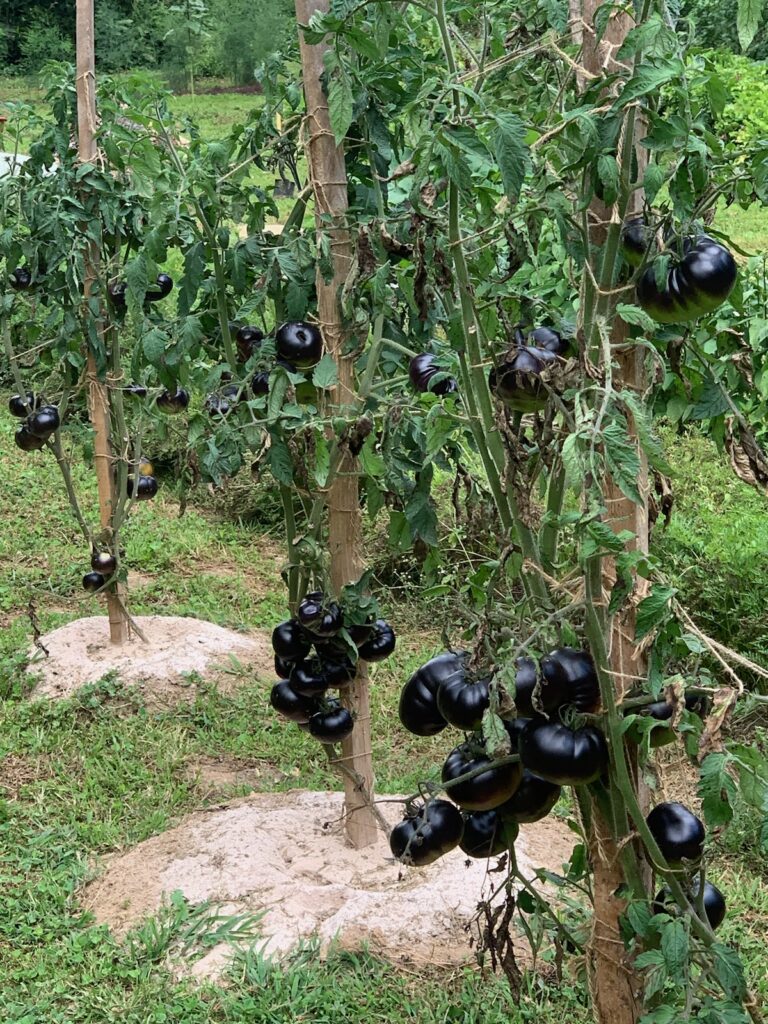 b2d14545 97b1 4034 bb33 51384c255c35