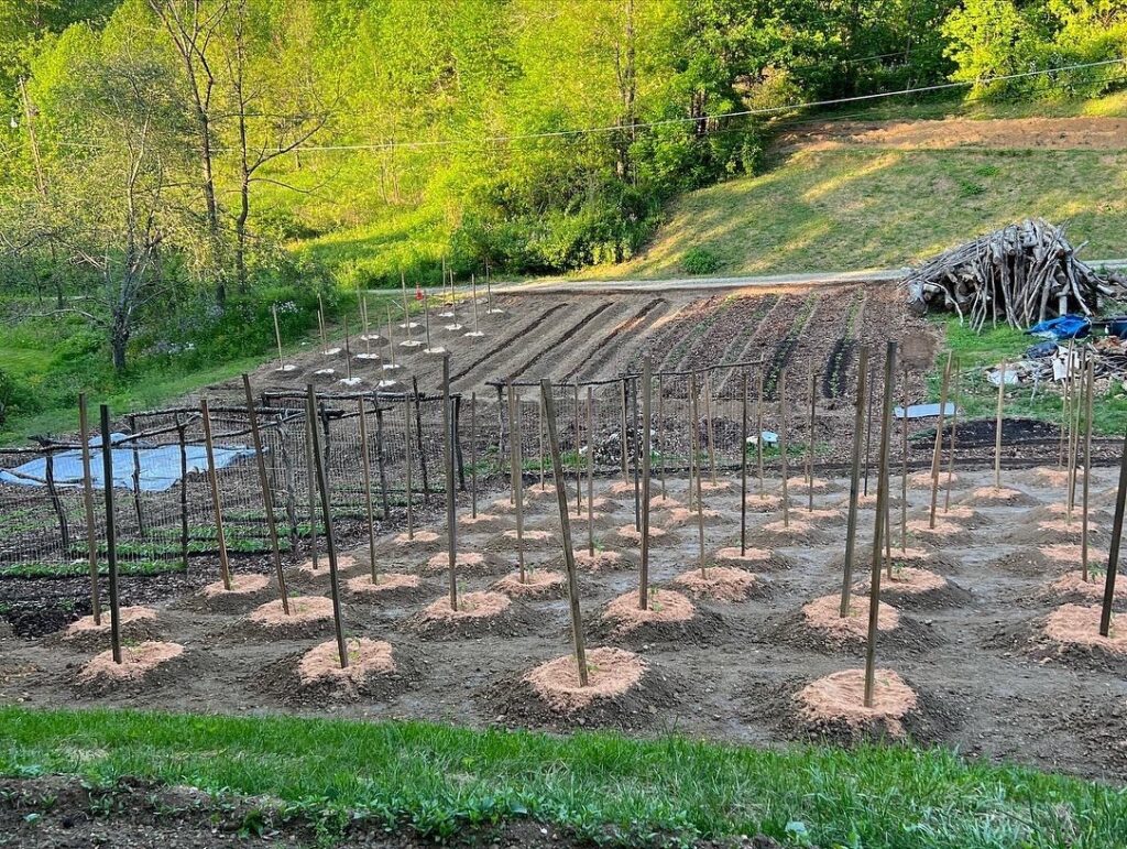 c05a3501 67fd 41ff 8e6b 5844a445c0bc