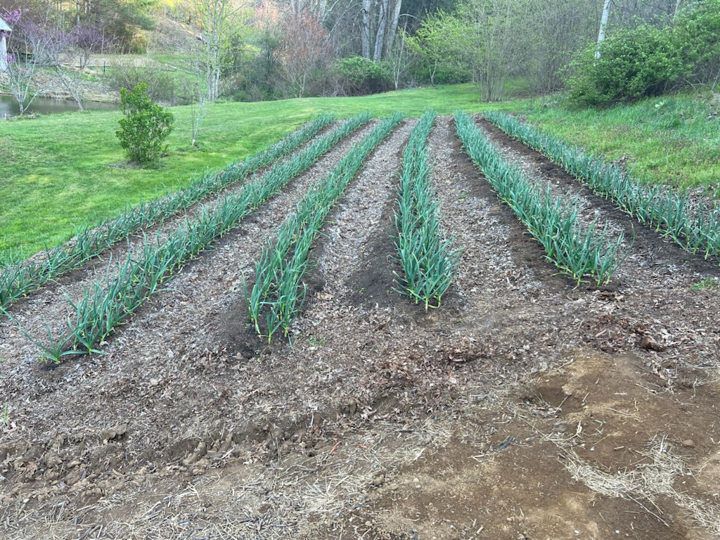 e284942a ec0c 467b 9479 0e93efe0e7ed